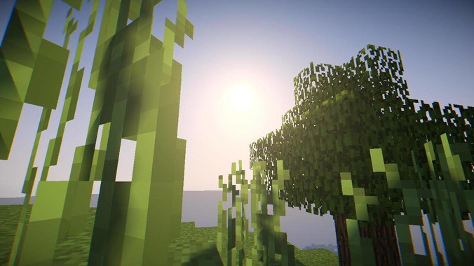 我是新手想养鱼，预算不超过200。有什么好的建议或者禁忌吗。？